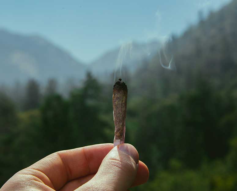 hand holding blunt with mountains in the background